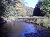 MAD RIVER ONEIDA COUNTY CENTRAL NEW YORK 9-29-2007_00003.JPG