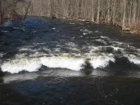CAMDEN FOREST PARK ONEIDA CENTRAL NY 3-31-2009_00002.JPG