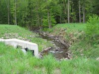 ROADSIDE OSCEOLA ONEIDA CENTRAL NY 5-19-2010_00006.JPG