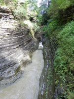 Minihaha Falls Watkins Glen Schuyler Central NY 8-10-2013_00010.JPG