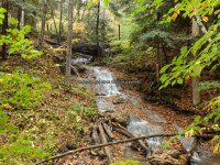 8-BARBARA SMIT YOUNG ARBORETUM 10-2-2014_00002.JPG