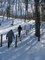 8-BARBARA SMIT YOUNG 3-6-2010_00004.JPG