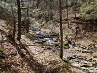 Chenango Waterfalls of Pharsalia 4-17-2016_00016.JPG