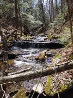 Chenango Waterfalls of Pharsalia 4-17-2016_00017.JPG