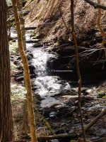 Chenango Waterfalls of Pharsalia 4-17-2016_00022.JPG