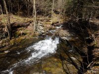 Chenango Bucks Brook Waterfalls on 4-17-2016_00013.JPG