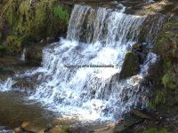 Views from the bridge on Buckley Hollow Rd 4-17-2016_00004.JPG