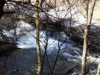 Views from the Finger Lakes Trail 4-17-2016_00008.JPG
