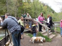 Chittenango Falls 5-14-2016_00014.JPG