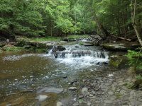 Christman Sanctuary Schenectady Ny 5-30-2016_00033.JPG