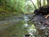 Ohisa Creek falls on Herkimer Ny 5-30-2016_00001.JPG