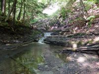 Ohisa Creek falls on Herkimer Ny 5-30-2016_00003.JPG