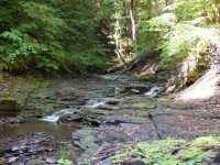 Ohisa Creek falls on Herkimer Ny 5-30-2016_00005.JPG