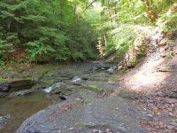Ohisa Creek falls on Herkimer Ny 5-30-2016_00006.JPG