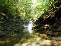 Ohisa Creek falls on Herkimer Ny 5-30-2016_00009.JPG