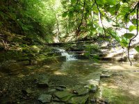 Ohisa Creek falls on Herkimer Ny 5-30-2016_00012.JPG