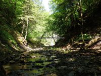 Ohisa Creek falls on Herkimer Ny 5-30-2016_00014.JPG
