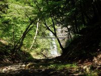 Ohisa Creek falls on Herkimer Ny 5-30-2016_00015.JPG