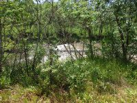 Otsquago Creek falls on Montgomery Ny 5-30-2016_00002.JPG