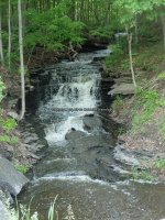 Unnamed Stream falls on Schenectady Ny Delanson 5-30-2016_00004.JPG