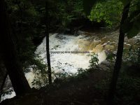 Wilsey Creek falls on MHLC Montgomery Ny 5-30-2016_00003.JPG