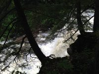 Wilsey Creek falls on MHLC Montgomery Ny 5-30-2016_00004.JPG