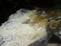 Wilsey Creek falls on MHLC Montgomery Ny 5-30-2016_00006.JPG