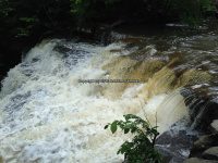 Wilsey Creek falls on MHLC Montgomery Ny 5-30-2016_00007.JPG