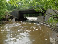 Wilsey Creek falls on MHLC Montgomery Ny 5-30-2016_00008.JPG