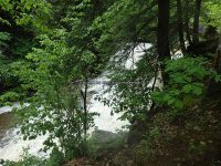 Wilsey Creek falls on MHLC Montgomery Ny 5-30-2016_00012.JPG