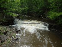 Wilsey Creek falls on MHLC Montgomery Ny 5-30-2016_00014.JPG