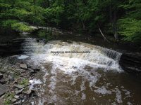 Wilsey Creek falls on MHLC Montgomery Ny 5-30-2016_00015.JPG