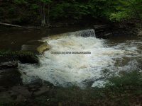 Wilsey Creek falls on MHLC Montgomery Ny 5-30-2016_00017.JPG