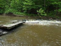 Wilsey Creek falls on MHLC Montgomery Ny 5-30-2016_00018.JPG