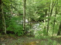 Wilsey Creek falls on MHLC Montgomery Ny 5-30-2016_00019.JPG