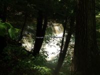 Wilsey Creek falls on MHLC Montgomery Ny 5-30-2016_00022.JPG