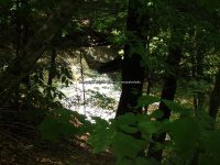 Wilsey Creek falls on MHLC Montgomery Ny 5-30-2016_00023.JPG