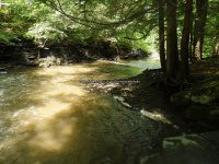 Wilsey Creek falls on MHLC Montgomery Ny 5-30-2016_00025.JPG