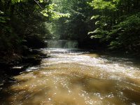 Wilsey Creek falls on MHLC Montgomery Ny 5-30-2016_00029.JPG