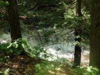 Wilsey Creek falls on MHLC Montgomery Ny 5-30-2016_00030.JPG