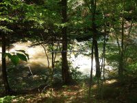 Wilsey Creek falls on MHLC Montgomery Ny 5-30-2016_00032.JPG