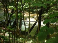 Wilsey Creek falls on MHLC Montgomery Ny 5-30-2016_00033.JPG
