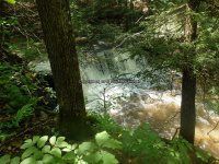 Wilsey Creek falls on MHLC Montgomery Ny 5-30-2016_00036.JPG
