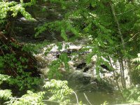 Wilsey Creek falls on Montgomery Ny 5-30-2016_00005.JPG