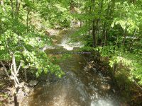 Wilsey Creek falls on Montgomery Ny 5-30-2016_00006.JPG
