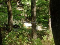 Wilsey Creek falls on Montgomery Ny 5-30-2016_00007.JPG