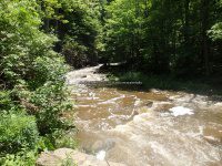Yatesville Falls State Forest Montgomery Ny 5-30-2016_00003.JPG