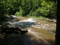 Yatesville Falls State Forest Montgomery Ny 5-30-2016_00006.JPG