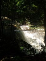 Yatesville Falls State Forest Montgomery Ny 5-30-2016_00007.JPG