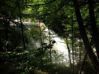 Yatesville Falls State Forest Montgomery Ny 5-30-2016_00009.JPG